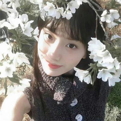 贾方复仇记